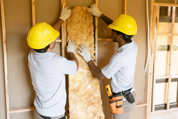 Best Insulation for Existing Homes  in Wilson, WY